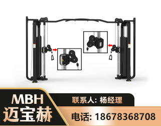 武汉大飞鸟训练器